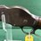 winchester-mdl.1887-10ga-shotgun-image-3