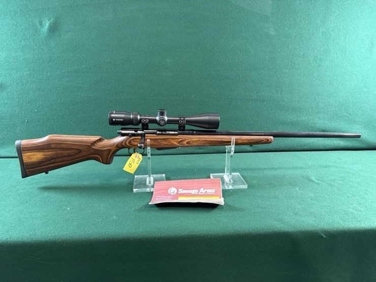 savage-mdl.m-25-204-ruger-cal-rifle-image-1