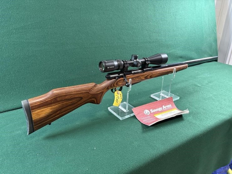 savage-mdl.m-25-204-ruger-cal-rifle-image-2