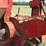case-ih-1250-image-21