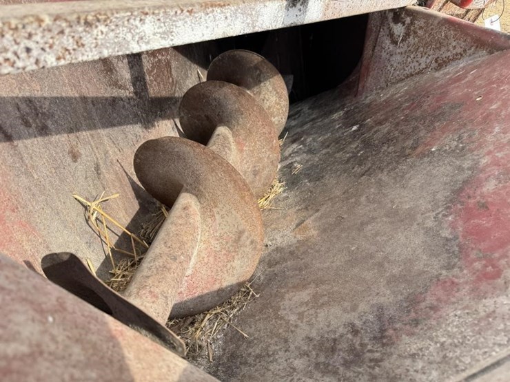 international-56-image-7