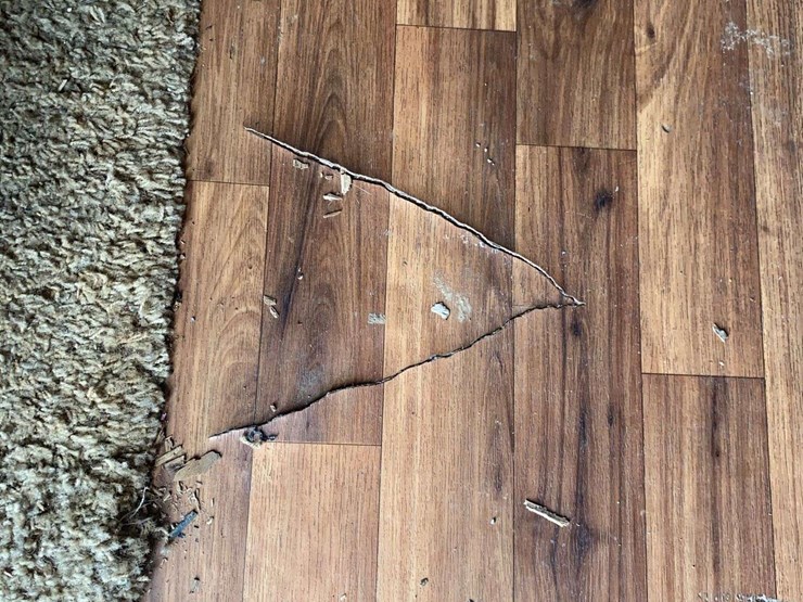 2011-heartland-big-country-3595re-image-18