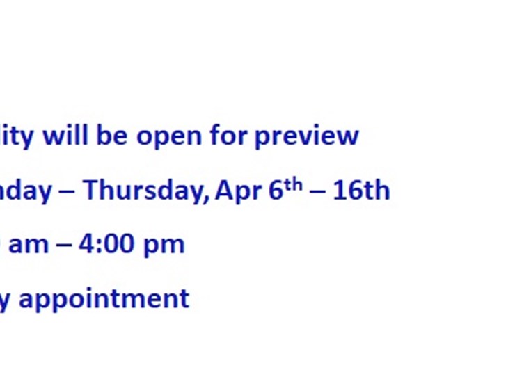 #2-•-previews-image-1