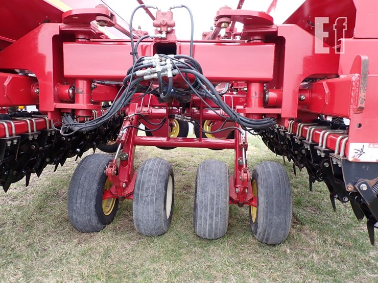 sunflower-9421-25-image-9