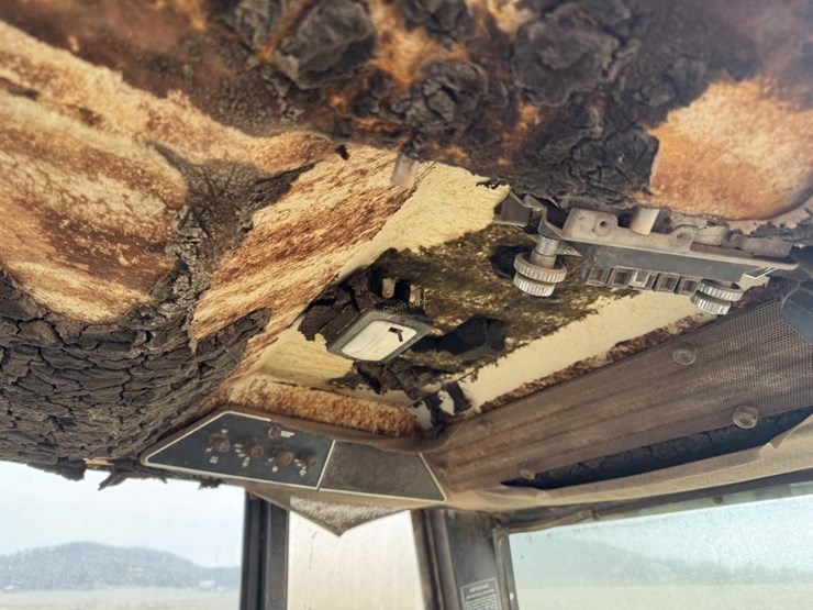 international-5488-image-18