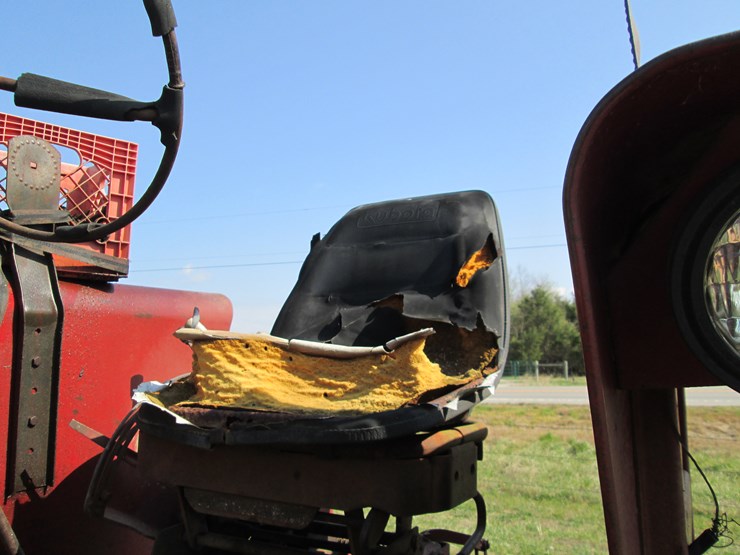 1971-international-856-image-25