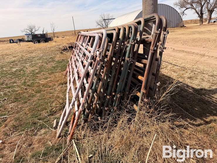 12'-livestock-panels-image-5