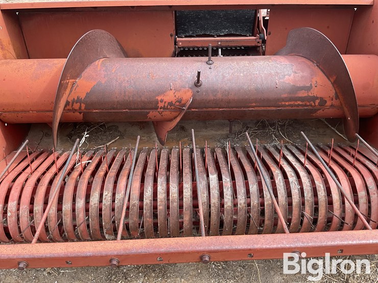 international-555-image-16