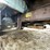 #113-•-1982-international-1754-single-axle-grain-truck-(has-wi-title)-image-28