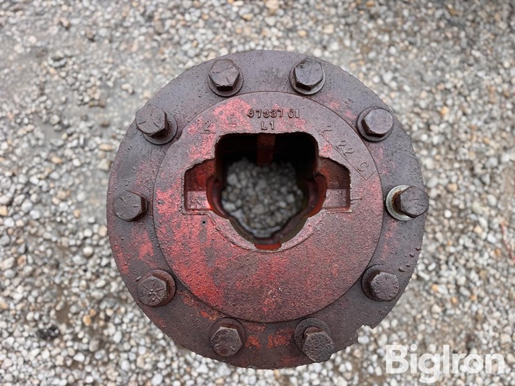 international-1566-image-19