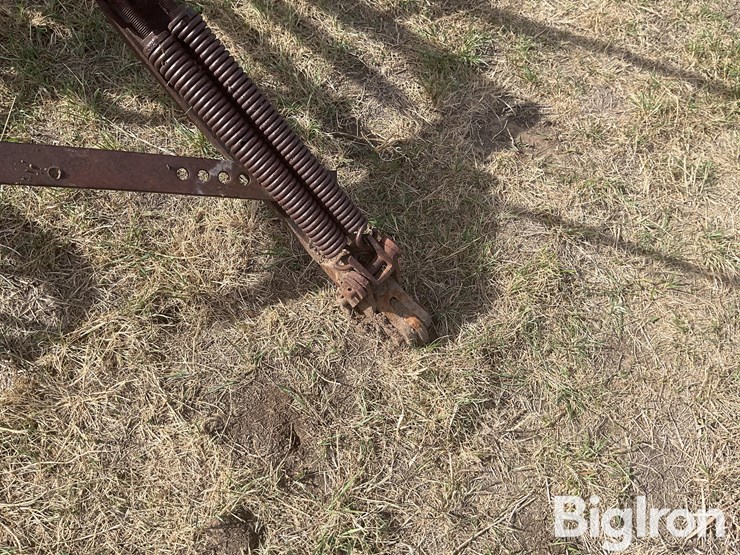 international-3-image-9