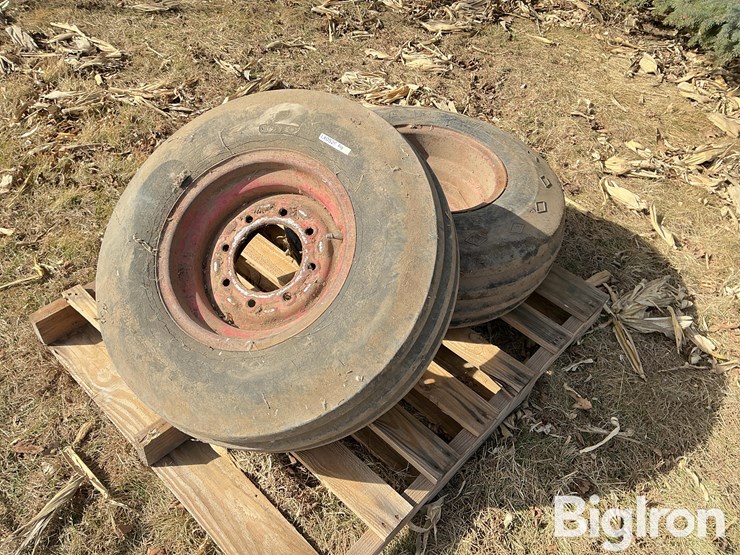 international-8-image-1