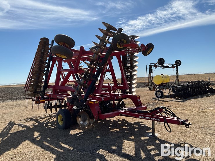 2011-sunflower-1435-image-3