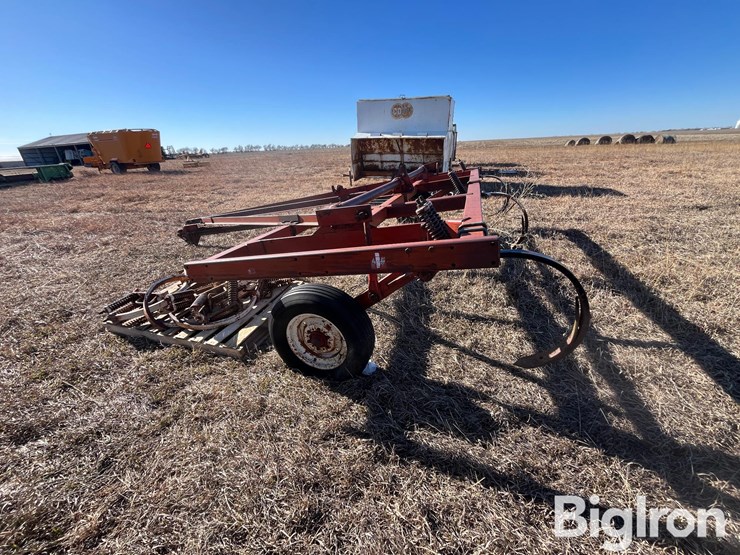 international-55-image-8