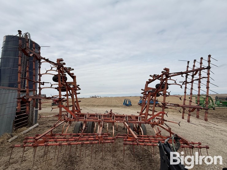 wil-rich-2500-image-12