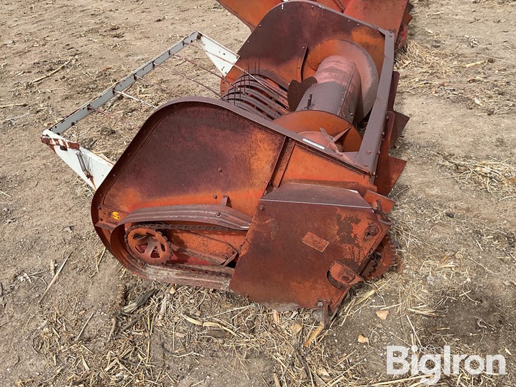 international-5-image-8