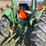 john-deere-1450-image-8