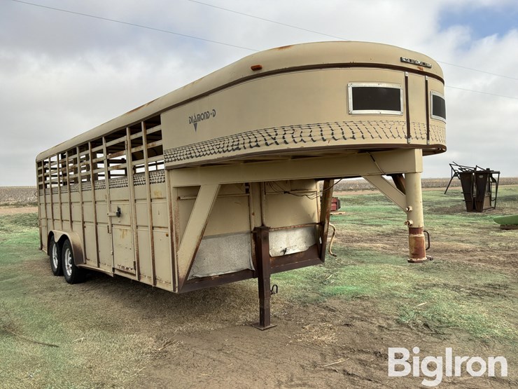 1988-diamond-d-image-3