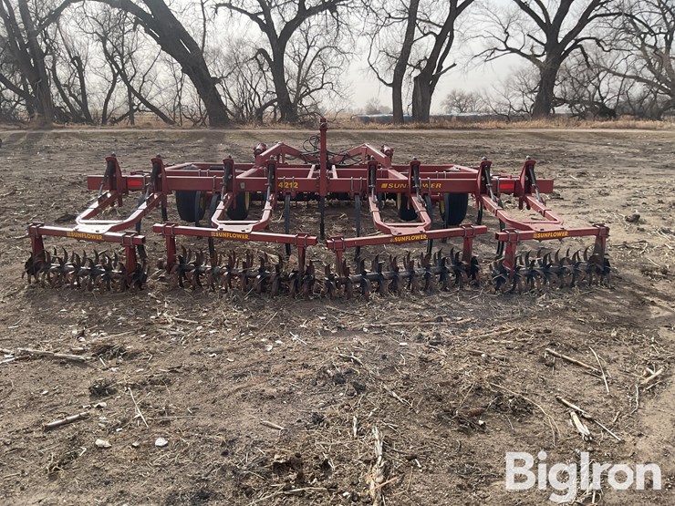 sunflower-4212-image-6