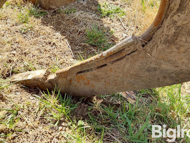 international-10-image-16