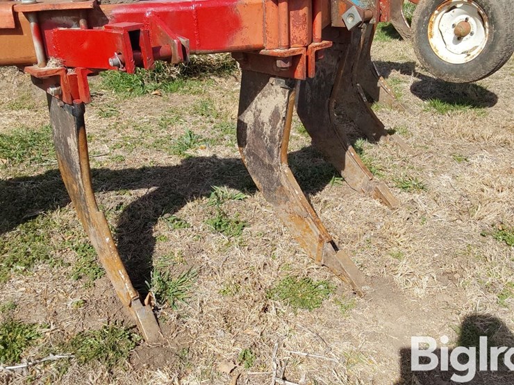 international-10-image-13