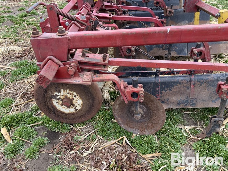 international-470-image-9