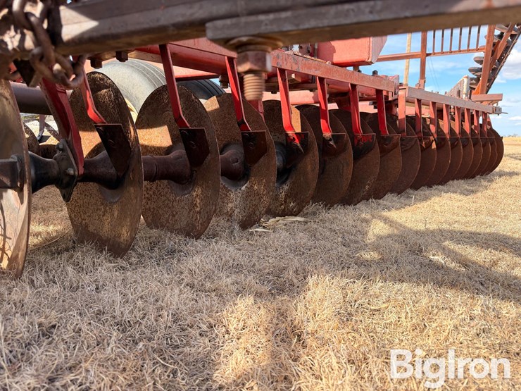 international-490-image-12