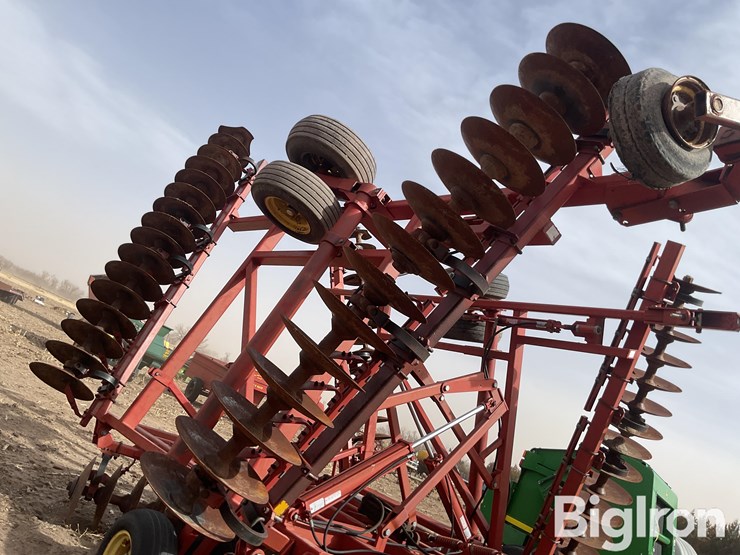 sunflower-1232-32-image-16