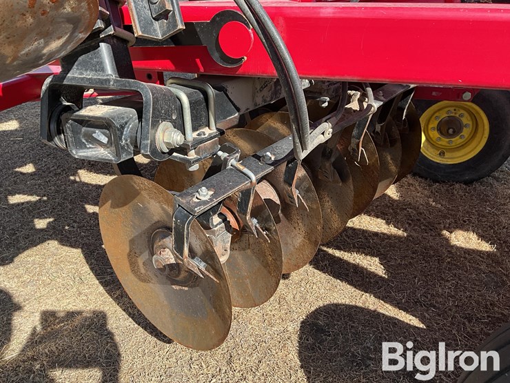 2011-sunflower-1435-image-16