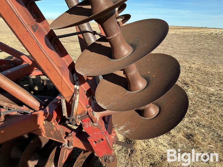 international-490-image-19