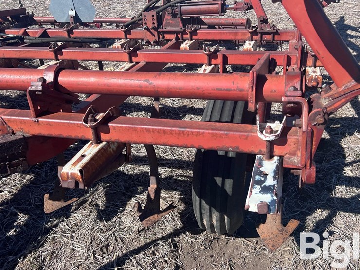 international-45-image-15