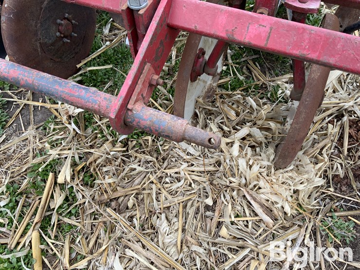 international-470-image-14