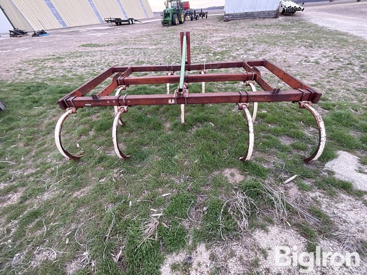 international-55-image-6