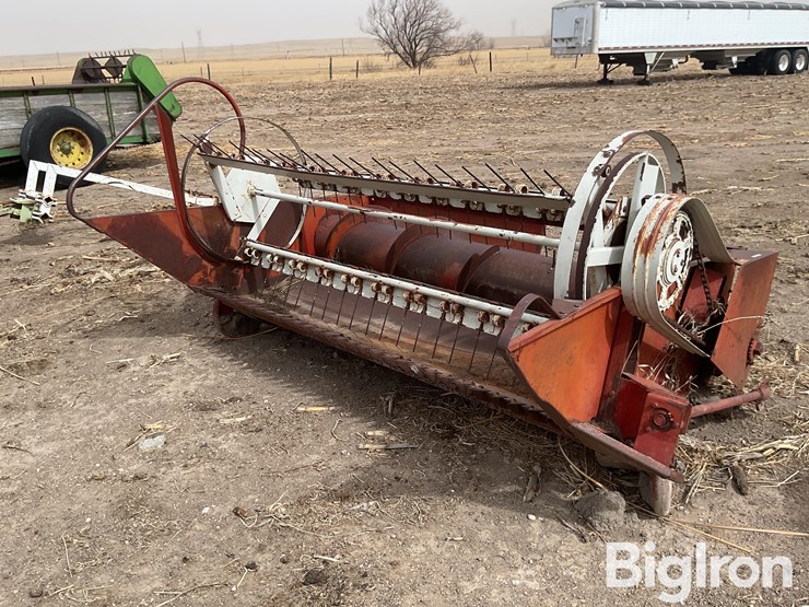 international-7-image-1