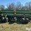 john-deere-1560-image-6