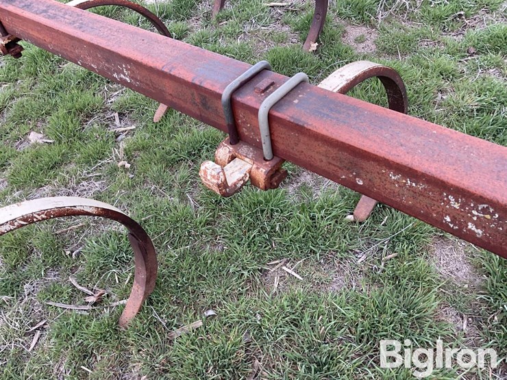 international-55-image-14