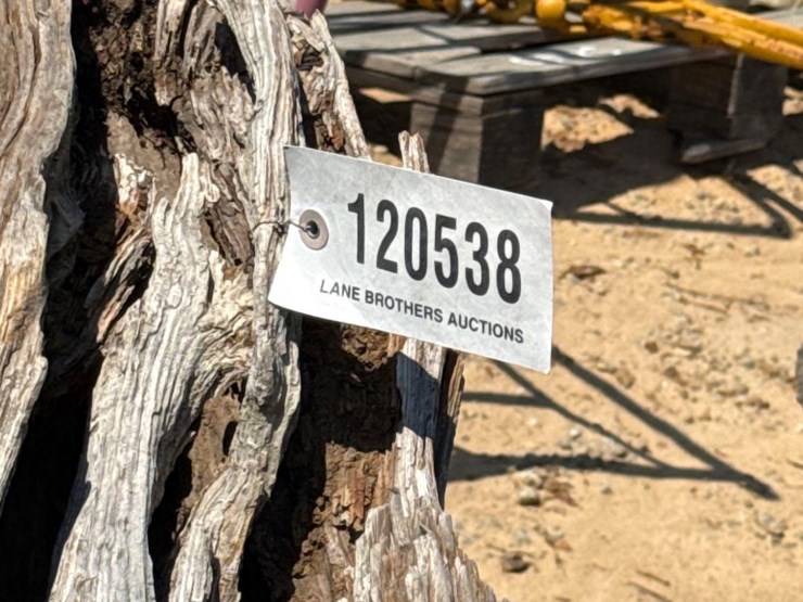 5235---fat-lighter-stump-image-4