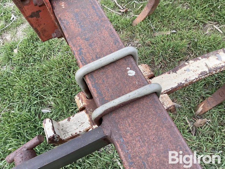 international-55-image-15