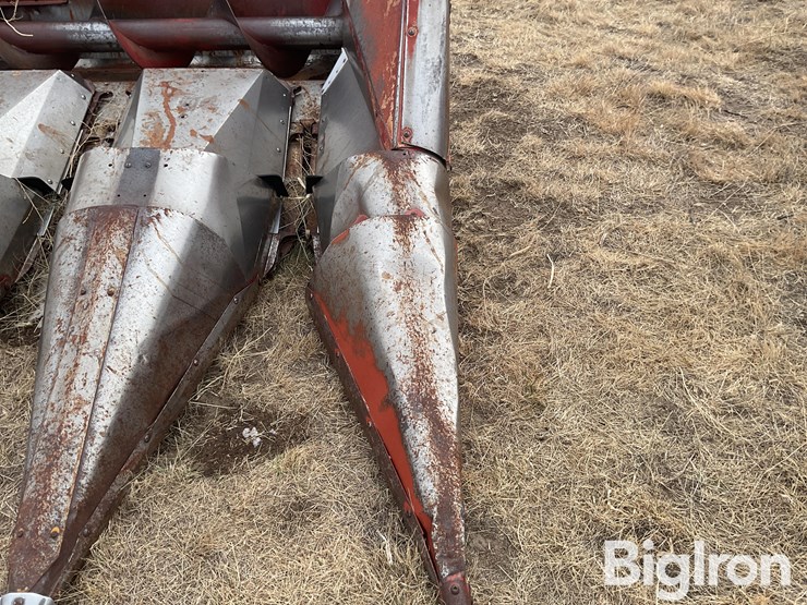 international-963-image-11