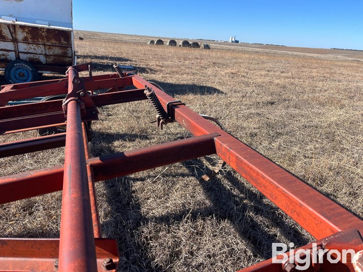 international-55-image-10