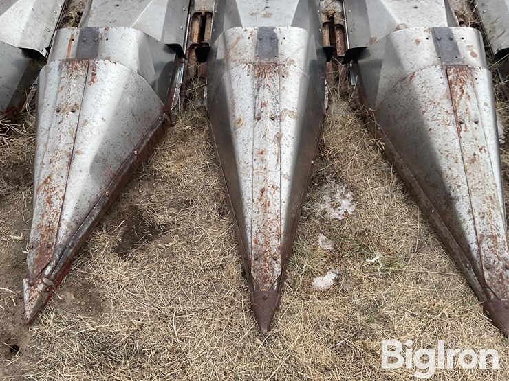 international-963-image-17