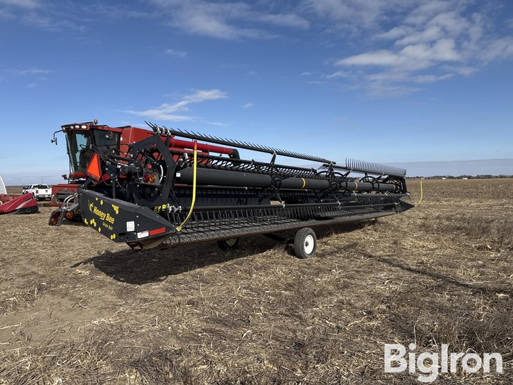 2016-honey-bee-sp36-image-3