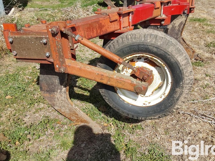 international-10-image-18