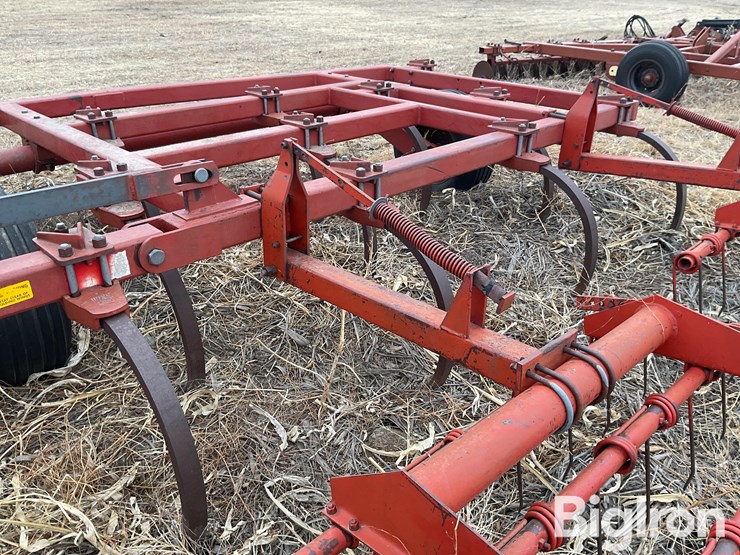 sunflower-2330-image-18