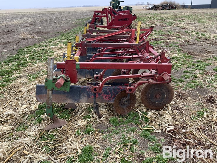 international-470-image-4