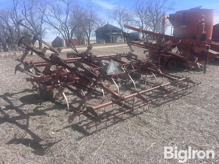 international-45-image-7