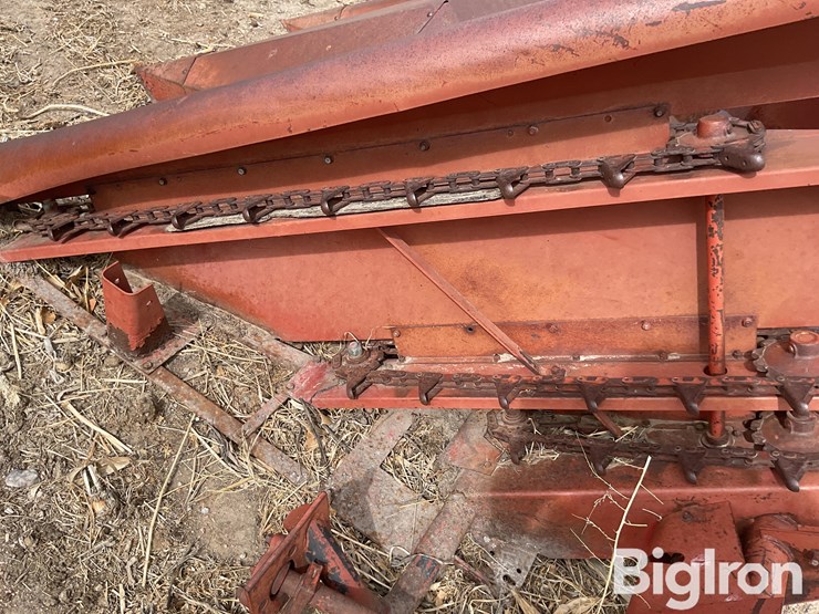 international-555-image-16