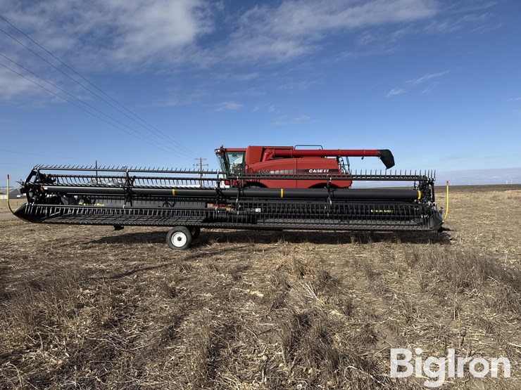 2016-honey-bee-sp36-image-2