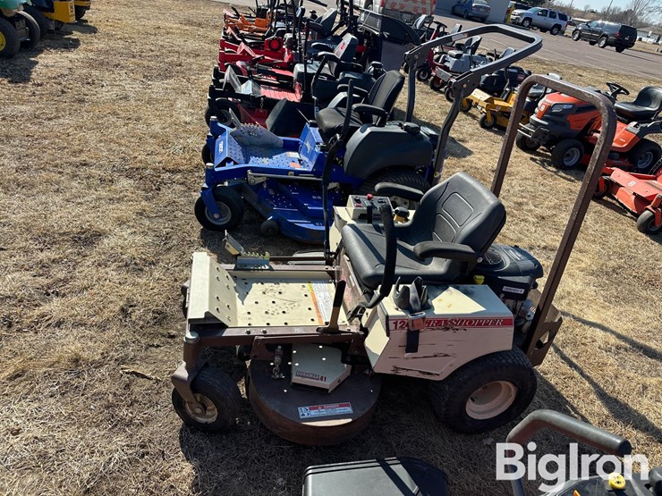 grasshopper-124-image-8