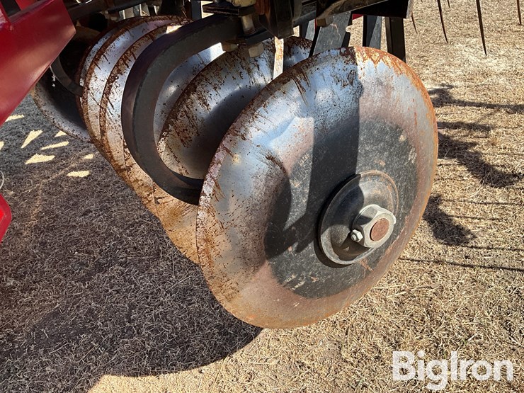 2011-sunflower-1435-image-19